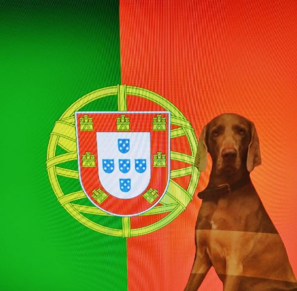 Hundeurlaub Portugal auf hundetravel.com