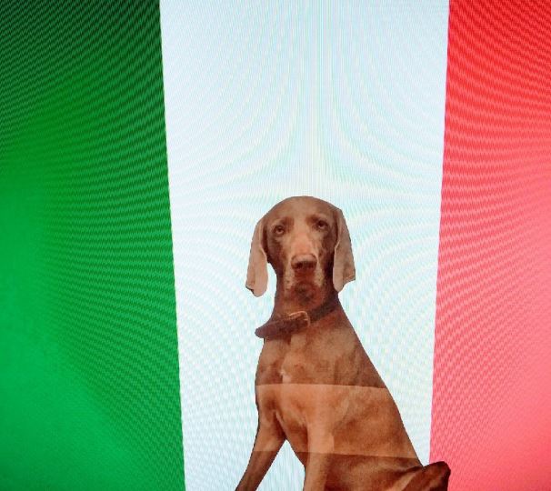 Urlaub mit Hund Italien, Hundeurlaub Italien,