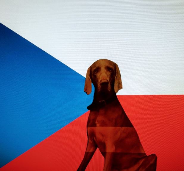 Urlaub mit Hund Tschechische Republik, Hundeurlaub Tschechische Republik,